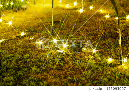 イルミネーション　足元の光　光のきらめき　夜の芝生　幻想的な演出 135095097