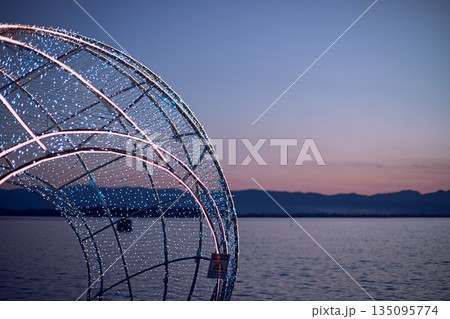 Light show and colorful flower garden decoration 135095774