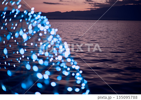 Light show and colorful flower garden decoration 135095788