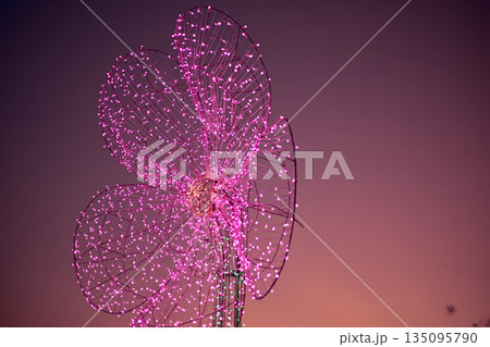 Light show and colorful flower garden decoration 135095790