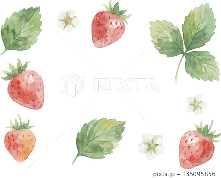 水彩風いちごイラスト 135095856