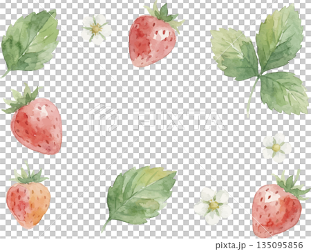 水彩風いちごイラスト 135095856