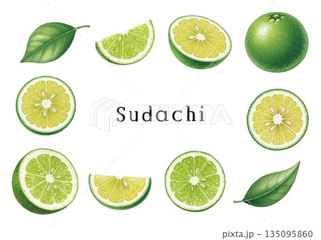 水彩風すだちイラスト 135095860