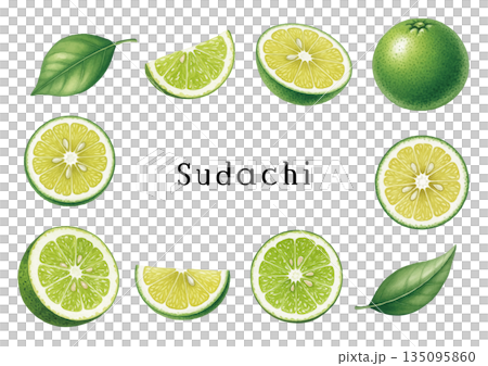 水彩風すだちイラスト 135095860