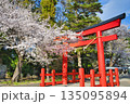 【神奈川県】桜咲く下鶴間諏訪神社の赤鳥居 135095894