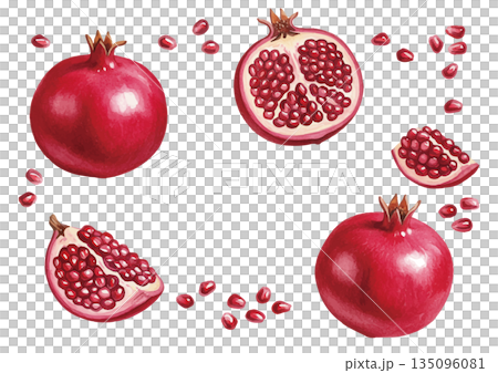 Watercolor style pomegranate illustration 135096081