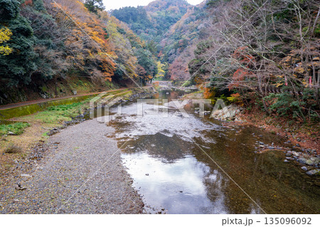 天神峡の紅葉の風景（井原市） 135096092