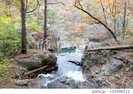 日光国立公園 龍王峡の虹見の滝／栃木県日光市藤原  135096221