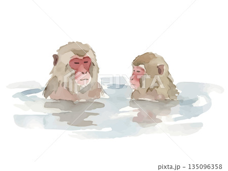水彩風お風呂に入る日本猿のイラスト 135096358