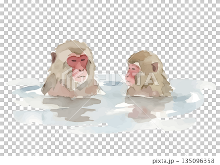 Watercolor illustration of a Japanese monkey taking a bath 135096358