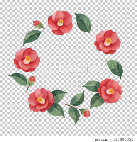 水彩風椿イラストフレーム 135096359