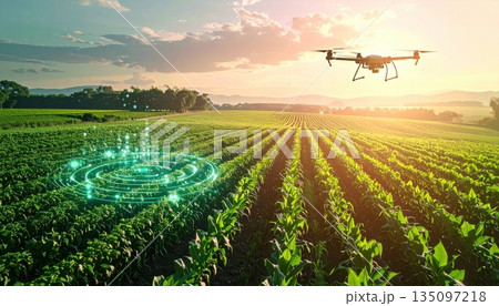 A solitary airplane rests in a lush green field under a vast blue sky filled with summer clouds as the sun sets over the rural agricultural landscape A solitary airplane rests in a lush green field under a vast blue sky filled with summer clouds as the sun sets over the rural agricultural landscape 135097218