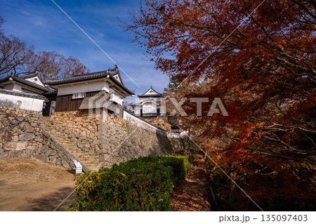 紅葉シーズンの備中松山城（高梁市） 135097403