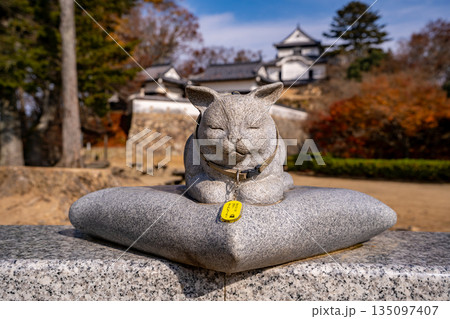 猫城主と備中松山城(高梁市) 猫城主と備中松山城(高梁市) 135097407