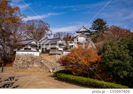 紅葉シーズンの備中松山城（高梁市） 135097409