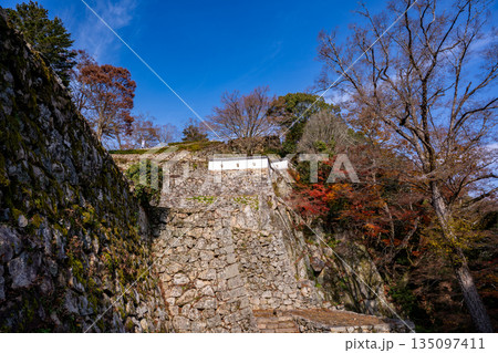 紅葉シーズンの備中松山城(高梁市) 紅葉シーズンの備中松山城(高梁市) 135097411