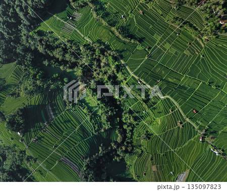 Magnificent Drone Shot Showcasing Verdant Rice Paddies 135097823