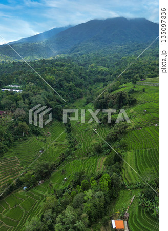 Green Hillside Paradise, Picturesque Rice Terraces Under Misted Volcanic Sky Green Hillside Paradise, Picturesque Rice Terraces Under Misted Volcanic Sky 135097836