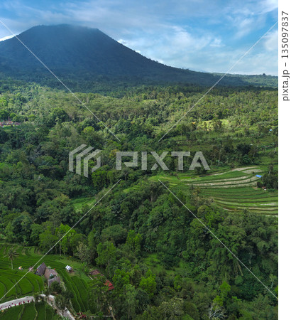Green Hillside Paradise, Picturesque Rice Terraces Under Misted Volcanic Sky Green Hillside Paradise, Picturesque Rice Terraces Under Misted Volcanic Sky 135097837
