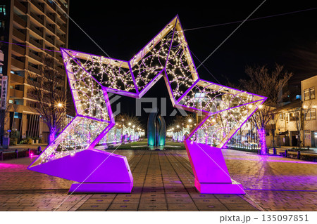 2025年初登場！ スターゲートが輝く みなと大通り公園イルミネーション 135097851