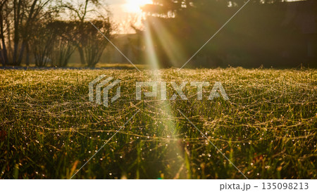 A vibrant rural landscape. Morning light shines over farmland. Sunlight warms the peaceful countryside. The early morning sun casts a bright light over the quiet countryside and distant trees. 135098213