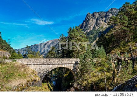 Pont d'Espagne Bridge in Cauterets, pine forest with mountain river, Pyrenees , France 135098517