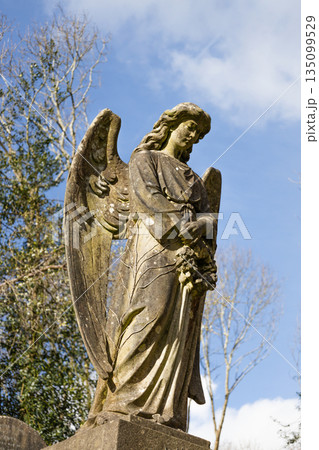 Weathered Stone Angel Statue in Historic Cemetery Weathered Stone Angel Statue in Historic Cemetery 135099529