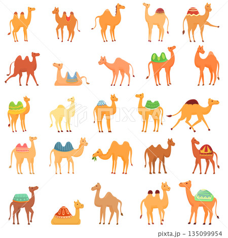 Camel icons set, cartoon style Camel icons set, cartoon style 135099954