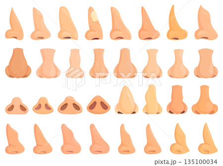 Rhinoplasty icon cartoon vector. Human nose 135100034
