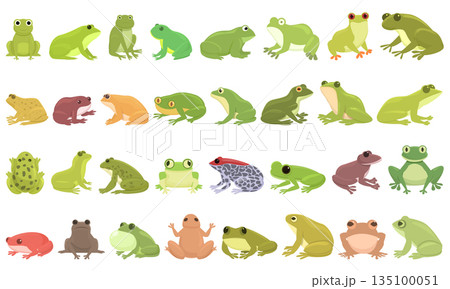 Frog icons set cartoon vector. Toad water 135100051
