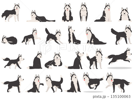 Husky icons set cartoon vector. Dog ears 135100063