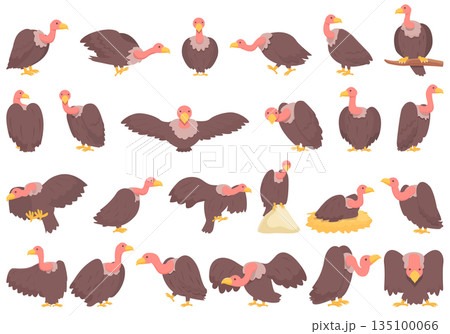 Vulture icons set cartoon vector. Animal bird 135100066