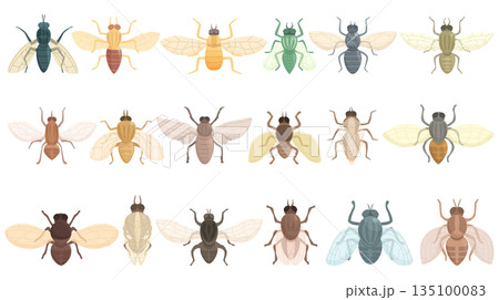 Tsetse fly icons set cartoon vector. Dangerous disease Tsetse fly icons set cartoon vector. Dangerous disease 135100083