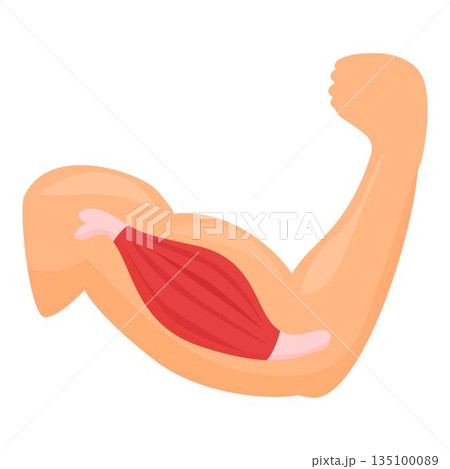 Flex strong muscle icon cartoon vector. Arm bicep 135100089