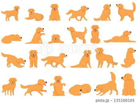 Golden retriever icons set cartoon vector. Dog labrador 135100105