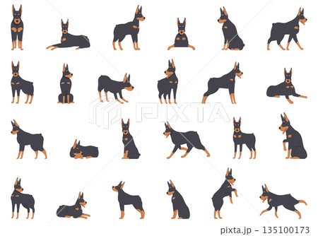 Doberman pinscher icons set cartoon vector. Angry animal Doberman pinscher icons set cartoon vector. Angry animal 135100173