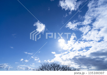 冬空と雲と木立 135100307