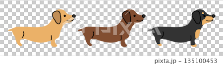 一隻迷你臘腸狗的可愛插圖。 135100453