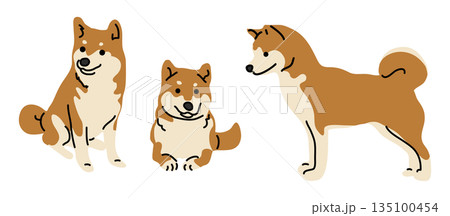 柴犬のかわいいイラスト。 135100454