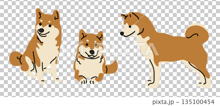 柴犬のかわいいイラスト。 135100454