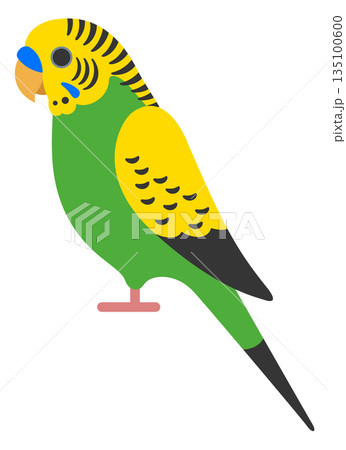 セキセイインコのアイコン 135100600