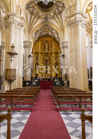 Baeza Cathedral interior featuring ornate golden altarpiece Baeza Cathedral interior featuring ornate golden altarpiece 135101034