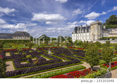 Chateau de Villandry formal gardens under blue sky Chateau de Villandry formal gardens under blue sky 135101048