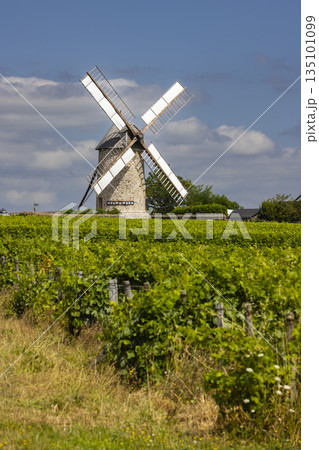 Windmill in Loire Valley vineyard, France 135101099