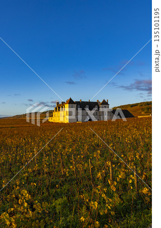 Chateau du Clos de Vougeot standing among autumn vineyards 135101195