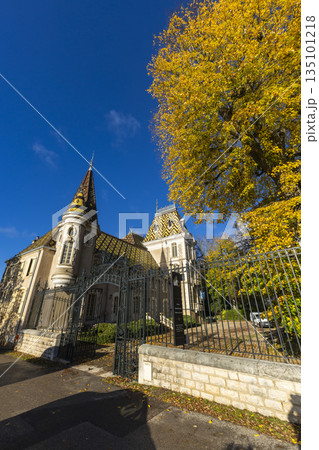 Grand building with Burgundian tiled roof and autumn tree in Aloxe Corton 135101218