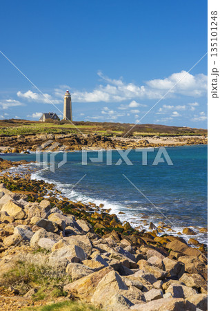 Gatteville lighthouse guiding mariners in Normandy, France 135101248