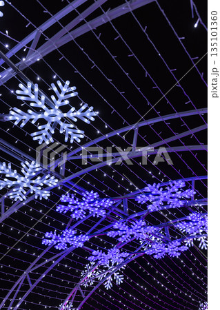 Snowflake light tunnel illuminating a festive winter night Snowflake light tunnel illuminating a festive winter night 135101360