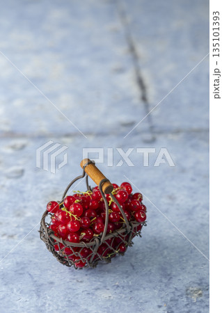 Fresh redcurrants filling metal basket on blue surface Fresh redcurrants filling metal basket on blue surface 135101393