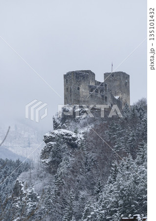 Strecno Castle ruins in winter, Slovakia landscape Strecno Castle ruins in winter, Slovakia landscape 135101432
